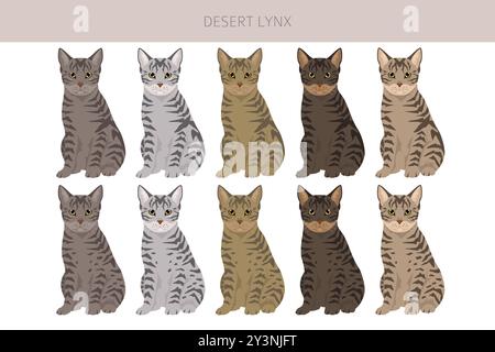 Desert Lynx Cat Clipart. Alle Lackfarben festgelegt. Infografik zu den Merkmalen aller Katzenrassen. Vektorabbildung Stock Vektor