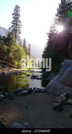 Foto des Merced River, der durch das Yosemite Valley im Yosemite National Park, Zentralkalifornien, USA fließt. Stockfoto