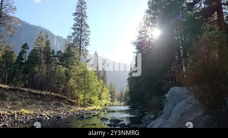 Foto des Merced River, der durch das Yosemite Valley im Yosemite National Park, Zentralkalifornien, USA fließt. Stockfoto