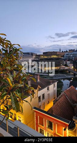 Dachblick über Gent und de Krook Bibliothek Stockfoto