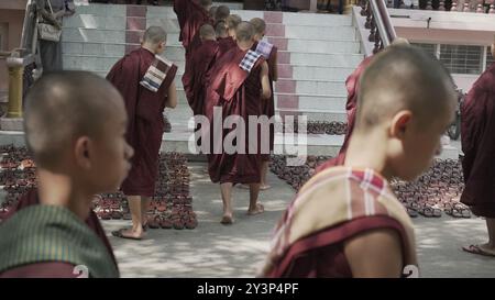 Morgenritual: Junge Mönche in Myanmar gehen zu ihrem Essen Stockfoto