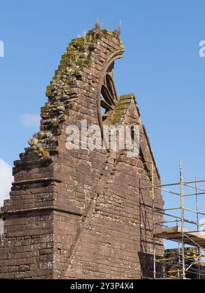 Vertikale Ansicht mit einem Teil der Ruine Sweetheart Abbey in New Abbey Village, Schottland. Gerüste können bei fortgesetzten Reparaturarbeiten gesehen werden. Stockfoto