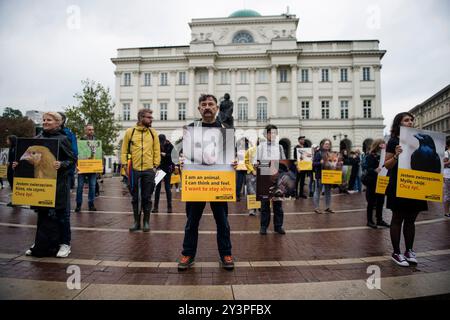 Die Demonstranten halten während des Animal Liberation Marsches Plakate. Unter dem Motto "Animal Liberation March" protestierten mehrere Hundert Menschen in Warschau. Tiere haben Gefühle, sind Stress ausgesetzt und sind empfindlich auf Schmerzen - sagten die Organisatoren des Protestes. Die Teilnehmer des marsches protestierten friedlich gegen den Schaden, den Tiere erleiden, und propagierten gleichzeitig die Ideen des Veganismus. Die Demonstranten verlangten auch Respekt vor Tieren, Rechten und deutlich mehr Empathie. Der Protest wurde von der Empatia-Organisation organisiert. Stockfoto