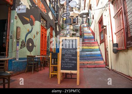 Straßenkunst an Gebäuden in der Stadt Valparaiso in Chile. Stockfoto