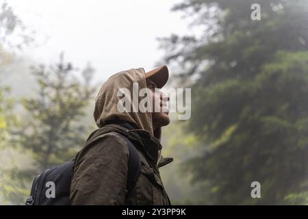 Mann wandert im Wald an einem kühlen, regnerischen Herbsttag. Sportbegriff in der Natur Stockfoto