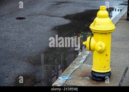 Hydrant auf der Straße von Rhode Island Providence Stockfoto