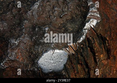 Nahaufnahme des Hoba-Meteoriten in Namibia, Afrika. Stockfoto