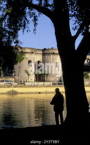 FRANKREICH. CHARENTE (16) COGNAC-WEINBERG, COGNAC, SAINT-JACQUES-TOR AM FLUSS KAIS DE CHARENTE, FISCHER Stockfoto