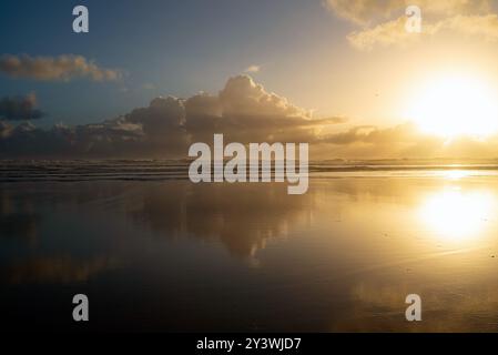 Bethells Beach, Neuseeland Stockfoto