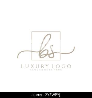 BS Initial Handschrift Logo Design Stock Vektor