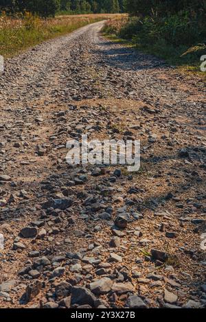 Verschüttetes Korn aus dem Mähdrescher auf der Straße in der Nähe des Feldes Stockfoto