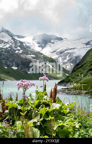 Kaprun, Österreich. 11. Juli 2024. „Zell am See, Kapruner Bergbecken, Kaprun, Österreich. Mooserboden, Wasserfallboden, Urlaub, Wanderer, Touristen, Stockfoto