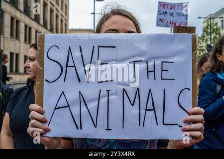 Ein Tierschutzprotestierer hält ein Plakat mit der Aufschrift „Rettet die Tiere“. Aktivisten und Befürworter der Tierrechte marschieren durch die Straßen Warschaus, um das Bewusstsein für das schreckliche Leiden von Tieren zu schärfen, die in der Fabrik- und industriellen Landwirtschaft gefangen sind. Der marsch wird als Gelegenheit für die Gemeinschaft angesehen, sich zu vereinen und ihre Stimmen Gehör zu verschaffen, indem sie über die Bedeutung der Gleichberechtigung für Tiere singen. Die Teilnehmer begannen ihre Aktion an der Statue des Kopernikus in der Nowy-Swiat-Straße. Sie marschierten mit Bannern und Plakaten durch das Stadtzentrum, hinter dem Palast für Kultur und Wissenschaft und kehrten zurück Stockfoto