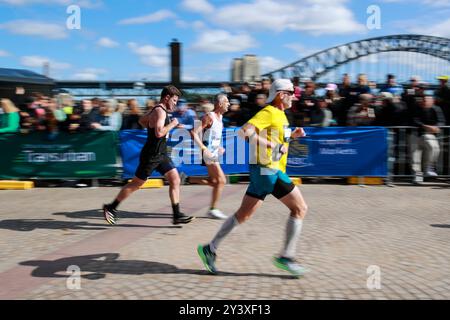 Sydney, Australien. September 2024. Die Teilnehmer laufen während des Sydney Marathons 2024 in Sydney, Australien, am 15. September 2024. Quelle: Ma Ping/Xinhua/Alamy Live News Stockfoto