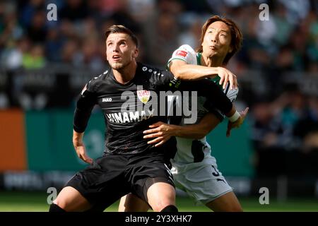 Mönchengladbach, Deutschland, Deutschland 1. Fussball-Bundesliga, 3.Spieltag, Borussia Mönchengladbach : VFB Stuttgart 1-3 14. 09. 2024 im Borussia Park in Mönchengladbach Ermedin DEMIROVIC (VFB) li.- und Ko ITAKURA (MG) re.- Foto: Norbert Schmidt, Düsseldorf Stockfoto