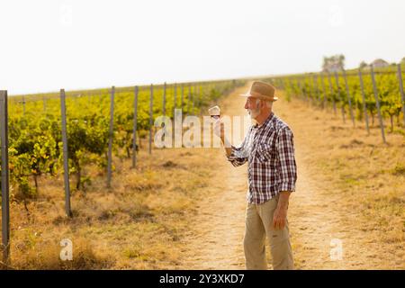 Der Hausmeister hält ein Glas tiefen Rotweins und lächelt, während er zwischen den Reihen von Weinreben steht, die vom sanften Leuchten der untergehenden Sonne beleuchtet werden Stockfoto