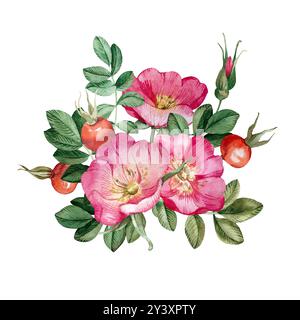 Hüftrosen-Blumenstrauß isoliert auf weißem Hintergrund. Handgezeichnete Aquarelle wilde Rosenblüten, Beeren Stockfoto