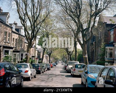 Bäume zum Gedenken an gefallene Soldaten aus dem Gebiet, das vom Stadtrat von Amey/Sheffield für den Fall vorgesehen war. Gesunde Bäume werden im Rahmen des PFI-Vertrags „Streets Ahead“ für Autobahnen „ersetzt“, der von Amey Plc im Namen des Stadtrates Sheffield betrieben wird. STAG ist eine parteilose politische „Dachgruppe“ lokaler Baumgruppen, die sich in der ganzen Stadt gebildet haben, um sich gegen den Abschlag zu wehren. Stockfoto