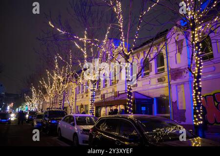 Wladiwostok, Russland - 31. Dezember 2023: Bäume mit Girlanden in Russland vor Neujahr Stockfoto
