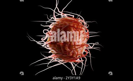 Peritreiche Bakterien mit viel Flagellum, schädlicher Bazillus mit langen Schwänzen, Prokaryote, Viren Probiotika und Erreger, H. pylori, Mikrobenflagell Stockfoto