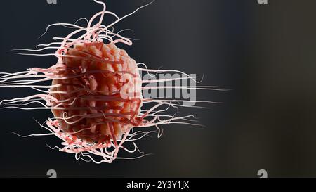 Peritreiche Bakterien mit viel Flagellum, schädlicher Bazillus mit langen Schwänzen, Prokaryote, Viren Probiotika und Erreger, H. pylori, Mikrobenflagell Stockfoto