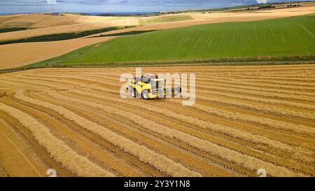 Mähdrescher Gardenstown Aberdeenshire Schottland Erntemaschine im Spätsommer und die vielen Reihen geschnittenes Stroh Stockfoto