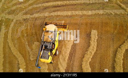 Mähdrescher Gardenstown Aberdeenshire Scotland Harvester in Strohleitungen im Spätsommer und im Trichter mit Getreide Stockfoto
