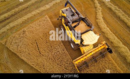 Mähdrescher Gardenstown Aberdeenshire Scotland Harvester Spätsommer und der Trichter voll Getreide Stockfoto