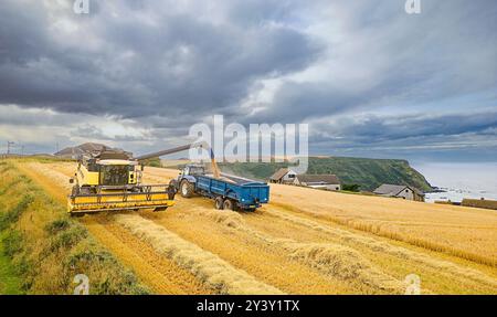 Mähdrescher Gardenstown Aberdeenshire Scotland Harvester lädt Getreide in die Regenwolken des Anhängers Stockfoto