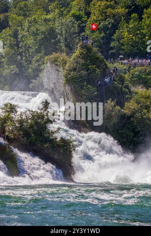 Der Besucher rockt mit dem stürzenden rheinwasserfall und der schweizer Flagge Stockfoto