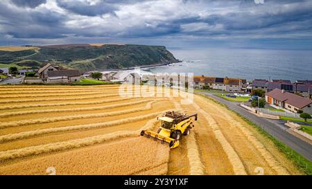 Kombinieren Sie Harvester Gardenstown Aberdeenshire Scotland Houses und einen Harvester im Gerstenfeld Moray Firth in der Ferne Stockfoto