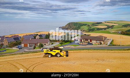 Kombinieren Sie Harvester Gardenstown Aberdeenshire Scotland die Dorfhäuser und einen Harvester auf dem Feld Spätsommer Crovie in der Ferne Stockfoto