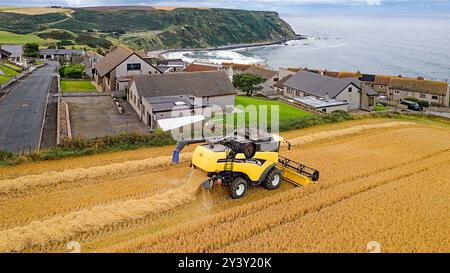 Kombinieren Sie Harvester Gardenstown Aberdeenshire Schottland die Dorfhäuser und einen Harvester auf dem Feld im Spätsommer Moray Firth in der Ferne Stockfoto
