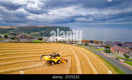 Kombinieren Sie Harvester Gardenstown Aberdeenshire Scotland Village Houses und einen Harvester im Gerstenfeld Moray Firth in der Ferne Stockfoto