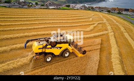 Kombinieren Sie Harvester Gardenstown Aberdeenshire Scotland Village Houses und einen Harvester auf dem Feld im Spätsommer Moray Firth in der Ferne Stockfoto