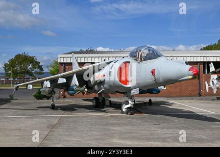 British Aerospace Harrier GR9 auf der HMS Sultan, einer Ausbildungsbasis der Royal Navy. September 2024. Stockfoto