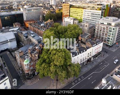 Blick aus der Höhe auf die Straßen und Gebäude in London Holborn Princes Circus und St. Giles Stockfoto