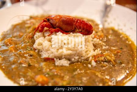 Flusskrebse Etouffee serviert mit Reis Stockfoto