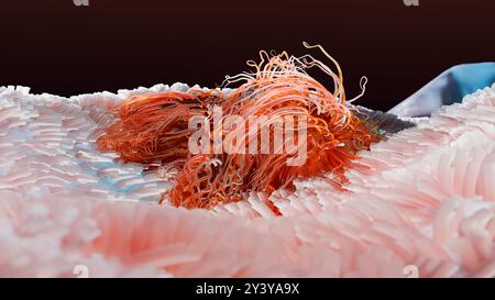 Peritreiche Bakterien mit viel Flagellum, schädlicher Bazillus mit langen Schwänzen, Prokaryote, Viren Probiotika und Erreger, H. pylori, Mikrobenflagell Stockfoto