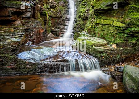 Der Tiger Clough Wasserfall stürzt durch moosbedeckte Felsen in einem üppigen Wald. Rivington Lancashire Großbritannien. Stockfoto