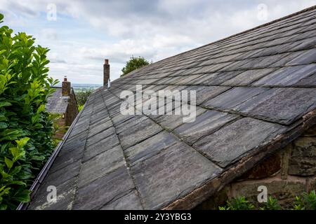 Nahaufnahme eines grauen Schieferdachs mit üppigem Grün im Hintergrund. Stockfoto