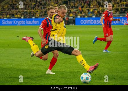 GER BVB Borussia Dortmund 09 vs. 1. FC Heidenheim, Fussball, Bundesliga, Spieltag 3, Saison 2024/2025, 13.09.2024 DFB/DFL-VORSCHRIFTEN VERBIETEN DIE VERWENDUNG VON FOTOGRAFIEN ALS BILDSEQUENZEN UND/ODER QUASI-VIDEO, FOTO: EIBNER-PRESSEFOTO/FABIAN FRIESE Stockfoto