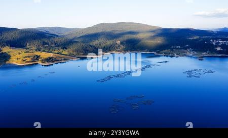 Berge umgeben von Wäldern in der hellen Sonne, Bulgarien. Fischfarmen mit Forellen und anderen Fischen auf dem See. Luftschuss von einer Drohne Stockfoto