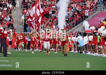 Houston, USA. September 2024. Die Houston Cougars laufen während der Feierlichkeiten vor dem Spiel am 14. September 2024 im TDECU Stadium in Houston, Texas, aus dem Tunnel. Die Houston Cougars besiegten die Rice Owls mit 33:7. (Foto: Jerome Hicks/SIPA USA) Credit: SIPA USA/Alamy Live News Stockfoto