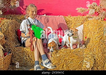 Glückliches Mädchen mit zwei Hunden Jack russell Terrier sitzt draußen auf einem Strohsofa. Hundeausbildung und Sozialisation Stockfoto