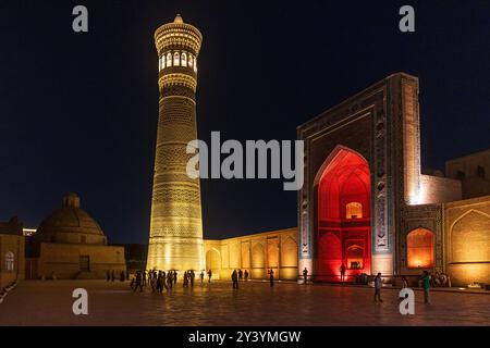 Kalyan Minaret und Kalyan Moschee beleuchtet bei Nacht in Buchara, Usbekistan Stockfoto