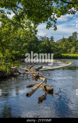 Die Horseshoe Falls am Fluss Dee, direkt außerhalb von Llangollen. Das Wehr liefert das Wasser für das Llangollenkanalsystem Stockfoto