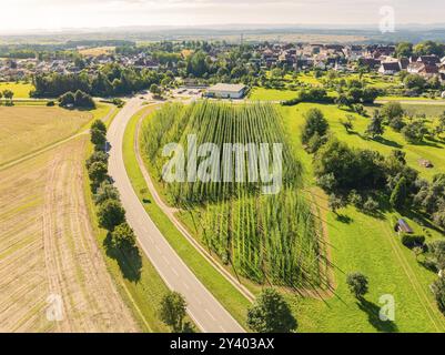 Luftaufnahme einer städtischen Umgebung mit grünen Feldern und Straßen gesäumt von Bäumen, Hopfengarten, Hochdorf, Schwarzwald, Deutschland, Europa Stockfoto