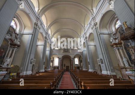 Innenraum mit Orgelloft der 1307 gegründeten Pfarrkirche, Barockbau im 18. Jahrhundert, Schaerding, Niederösterreich, Österreich, Europa Stockfoto