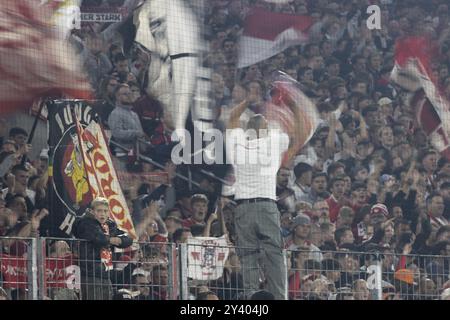 Südkurve Fans, 2. Bundesliga, 1. FC Köln, 1. FC Magdeburg am 14/09/2024 im RheinEnergieStadion in Köln (DFL/DFB-VORSCHRIFTEN PROHIBI Stockfoto